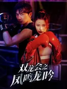 《双龙会之凤鸣龙吟》：武侠世界的爱恨情仇，双龙命运的交织与宿命